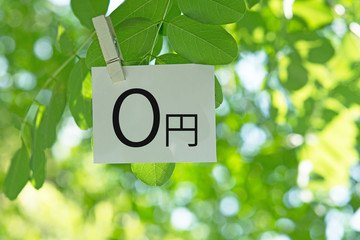 0円　　爽やかな青葉
