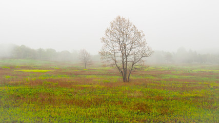 Obraz na płótnie Canvas Landscape, Shenandoah National Park, Virginia, USA