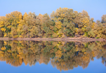 vibrant colours of nature