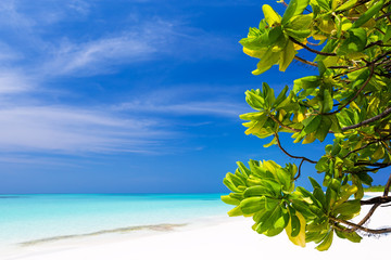Maldives island, perfect getaway