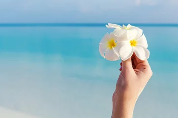 Foto auf Glas White tropical flower plumeria (frangipani) in hand © photopixel
