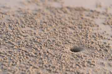 Fototapeta na wymiar 砂浜にできた穴