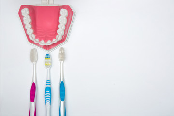 dental model and toothbrush on white background