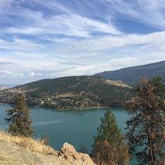 Tall trees on hillside of lake and mountains landscape