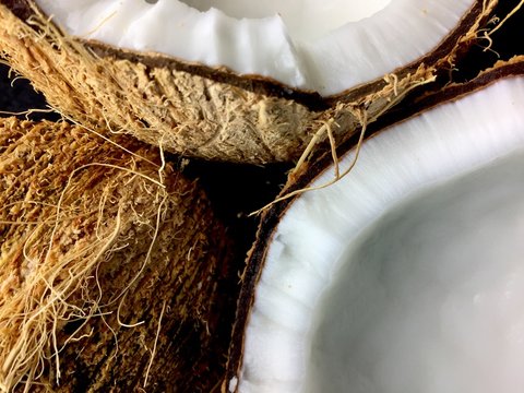 coconut