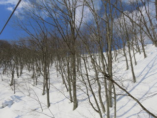 Hakuba snow