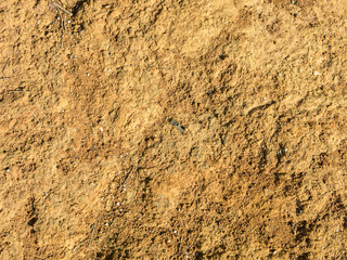 Soil pattern