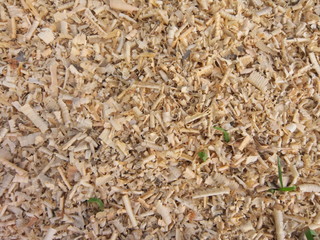 shavings of wood with grass