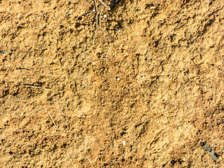 Soil pattern