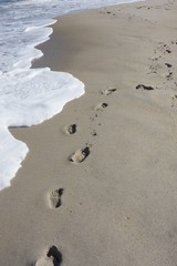 footsteps in the sand