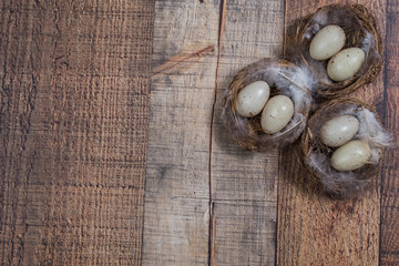 Bird nests in a corner of a wood background