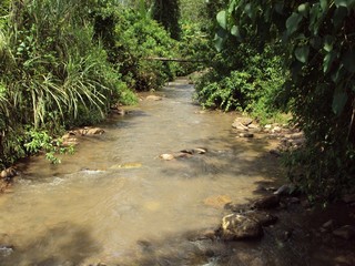 riachuelo_de_montaña_1