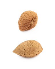 Single almond nut isolated