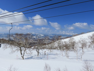 ニセコスキー場