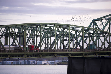 Section structure arch bridge with truck and flock of birds