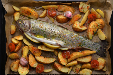 Roasted trout with potatoes in herbs.