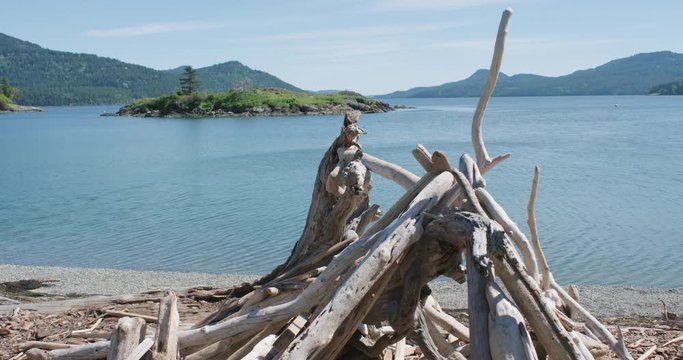Orcas Island Driftwood Beach - Eastsound, Washington USA - San Juans