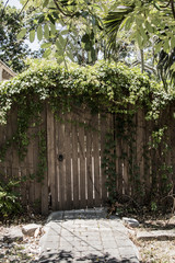 Backyard garden entrance door with wild vine wine grape