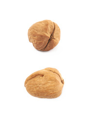 Single walnut isolated