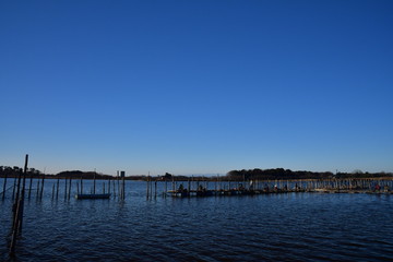 Obraz premium Morning view of Tatara Swamp in Winter. At Tatebayashi, Gunma, Japan. Tatara Swamp is famous in Japan.