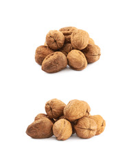Pile of walnuts isolated