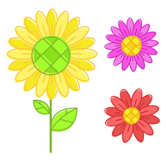 Flashy color Sunflower isolated vector