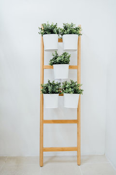 Plant stand with 5 plant pots, bamboo, white.A decorative ladder plant stand to grow several plants together vertically..Interior design, room decoration, bathroom,