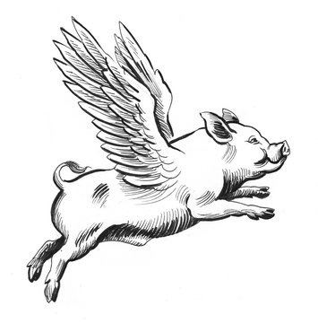 Flying pig. Retro styled ink illustration