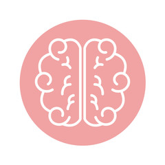 brain human isolated icon vector illustration design