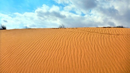 Fototapeta na wymiar Sand dune in Negev desert.