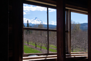 Landscape outside the window of old house