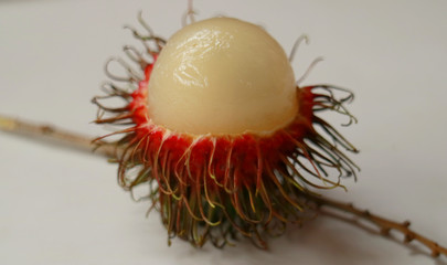 Rambutan. Fruit with yellow red color and hair. Native to the Indonesian region. The tropical fruit is juicy and sweet.