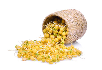 snow pea sprouts in wooden basket isolated on white background