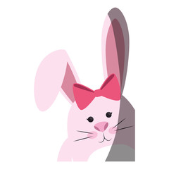 easter bunny icon over white background.  colorful design. vector illustration