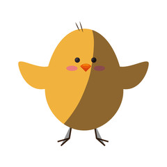 cute chicken icon over white background. colorful design. vector illustration