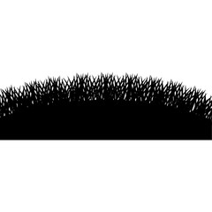 grass black silhouette nature, plant and field vector illustration