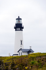 Lighthouse at blooming wildflowers in headland Pacific Coast Newport Oregon