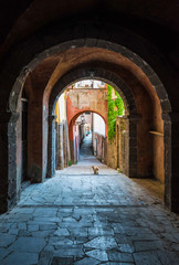 Tuscania (Italy) - A gorgeous etruscan and medieval town in province of Viterbo, Tuscia, Lazio...