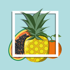 concept related with tropical fruits, vector illustration