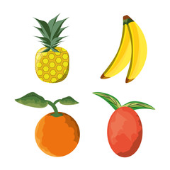 set icon concept related with tropical fruits, vector illustration