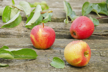 Three apples in drops of water