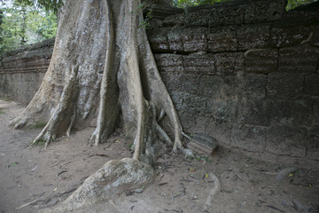 Cambodia Angkor Watt