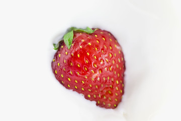 One ripe strawberry in cream