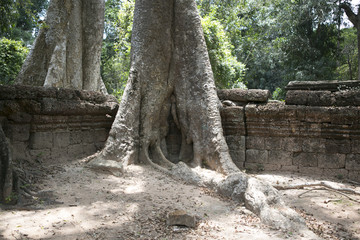 Obraz premium My Cambodia my Asia