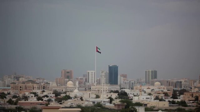 the flag of the United Arab Emirates