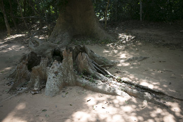 My Cambodia