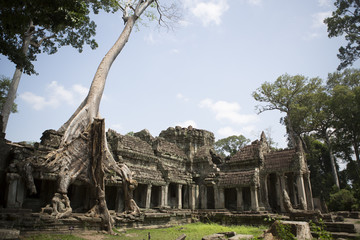 Naklejka premium My Cambodia