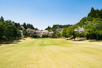 Fototapeta premium ゴルフ場 千葉県