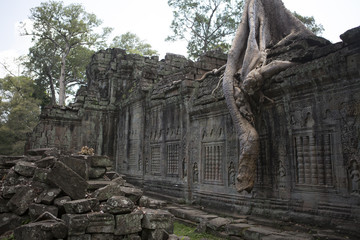 Fototapeta premium My Cambodia