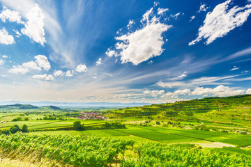 Fototapeta na wymiar Vine plantations in pituresque mountain valley in Germany on a summer day. Scenic countryside landscape with an old historic village and beautiful clouds. Travel destination.